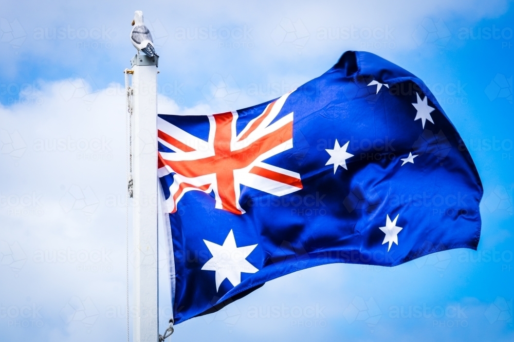 Australian flag flying on flagpole with wooden seagull - Australian Stock Image