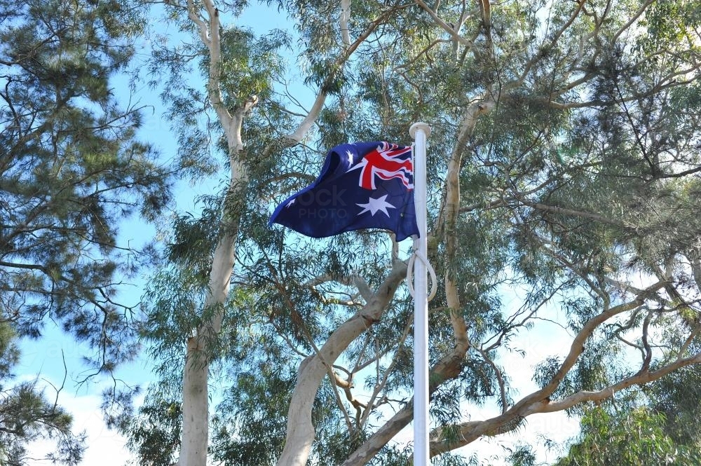Australian Flag with Gum Trees - Australian Stock Image