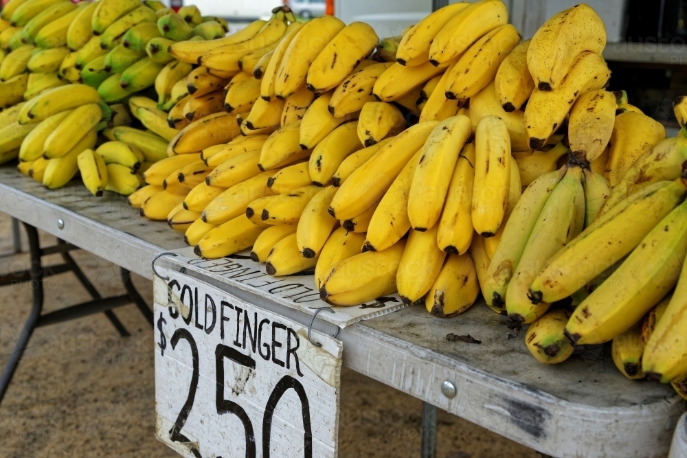 Australian Gold Finger Bananas at Market Stall - Australian Stock Image