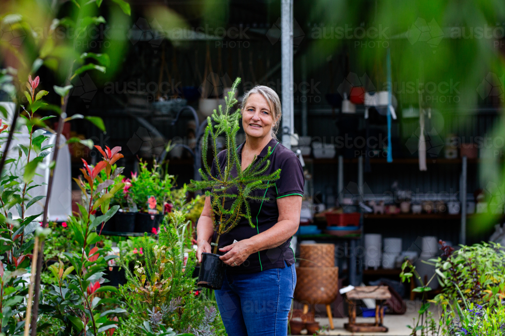 Australian horticulturalist holding potted native Australian plant in nursery garden - Australian Stock Image