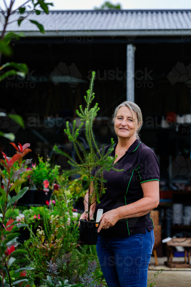Australian horticulturalist holding potted native Australian plant in nursery garden : Austockphoto Australian horticulturalist holding potted native Australian plant in nursery garden - Australian Stock Image