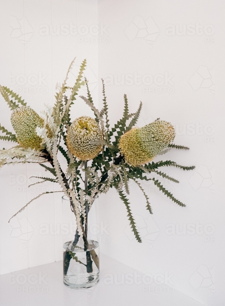 Image of Australian native banksias in a vase. Austockphoto