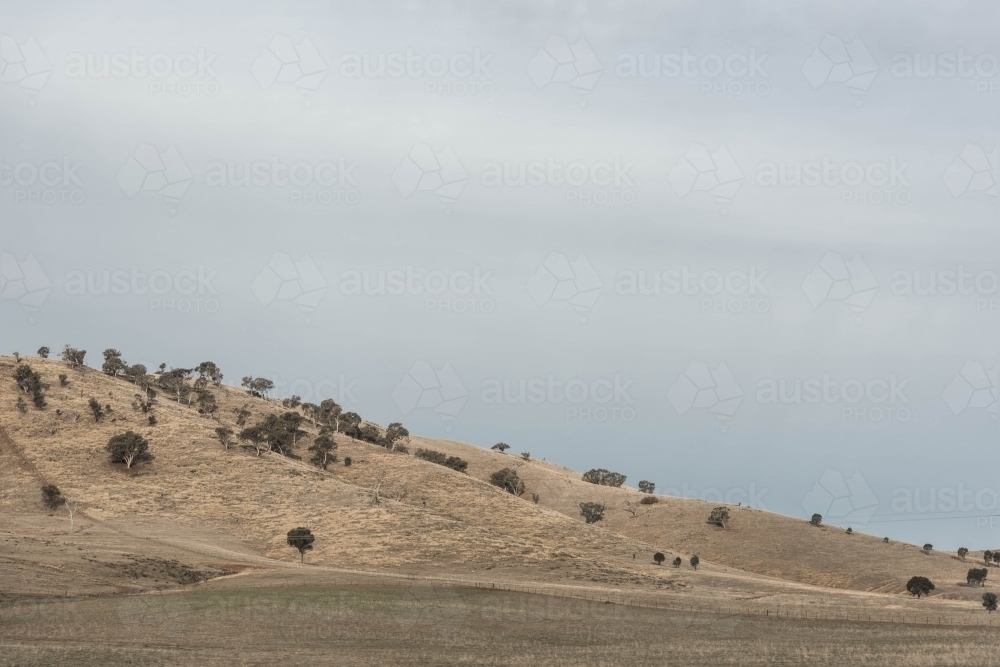 Australian rolling hills, rural landscape - Australian Stock Image