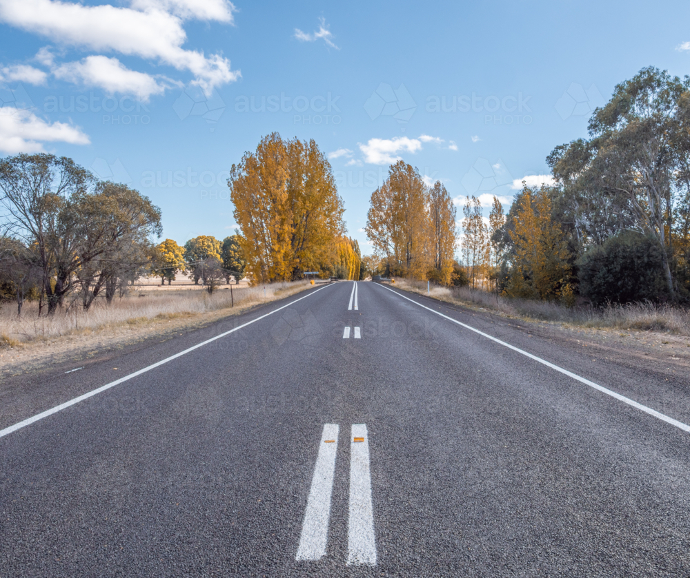 Autumn colour in New England - Australian Stock Image
