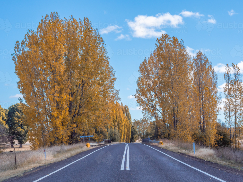 Autumn colour in New England - Australian Stock Image