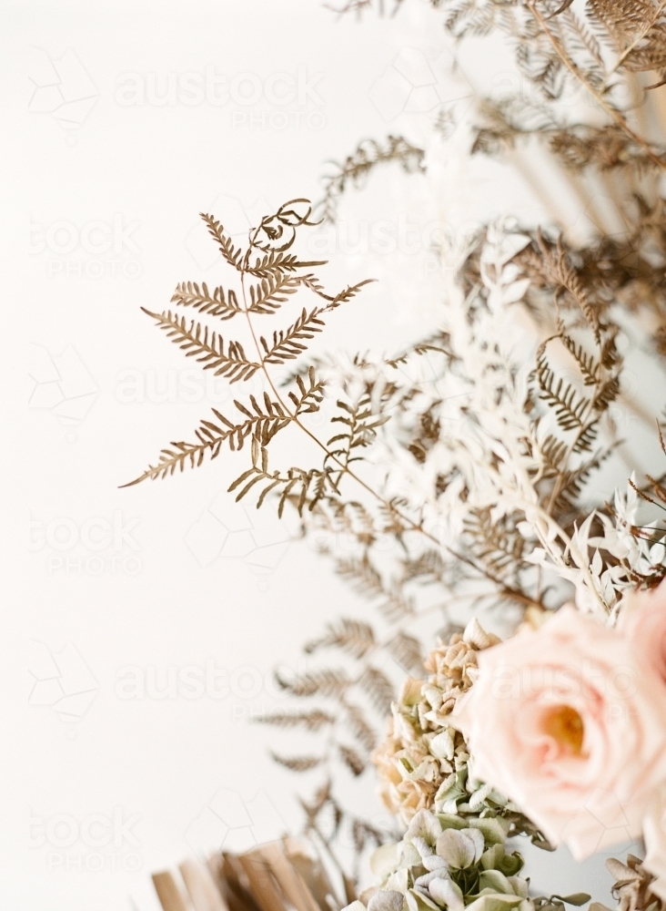 Autumn Coloured Flowers - Australian Stock Image