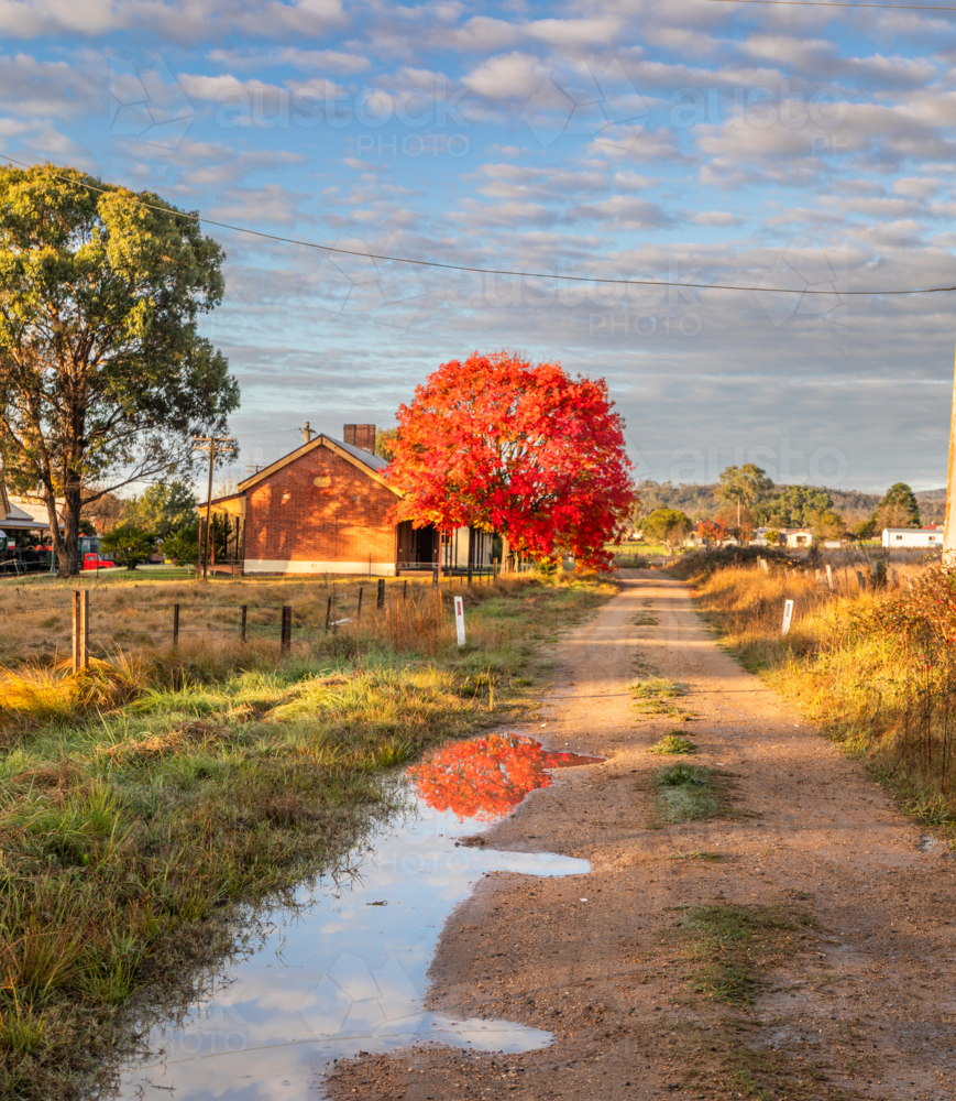 Autumn colours, a cloudy sky and a puddle with reflection - Australian Stock Image