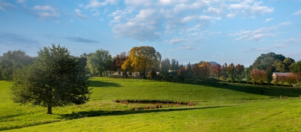 Autumn Farm Scene - Australian Stock Image