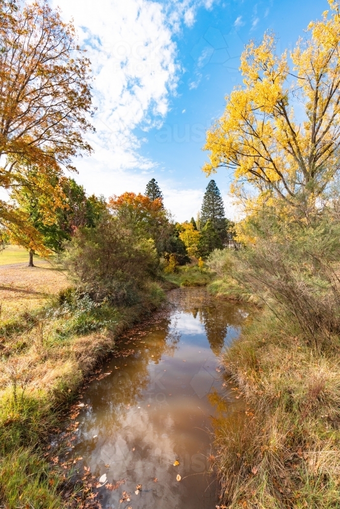 Autumn foliage at Alma Park, Uralla - Australian Stock Image