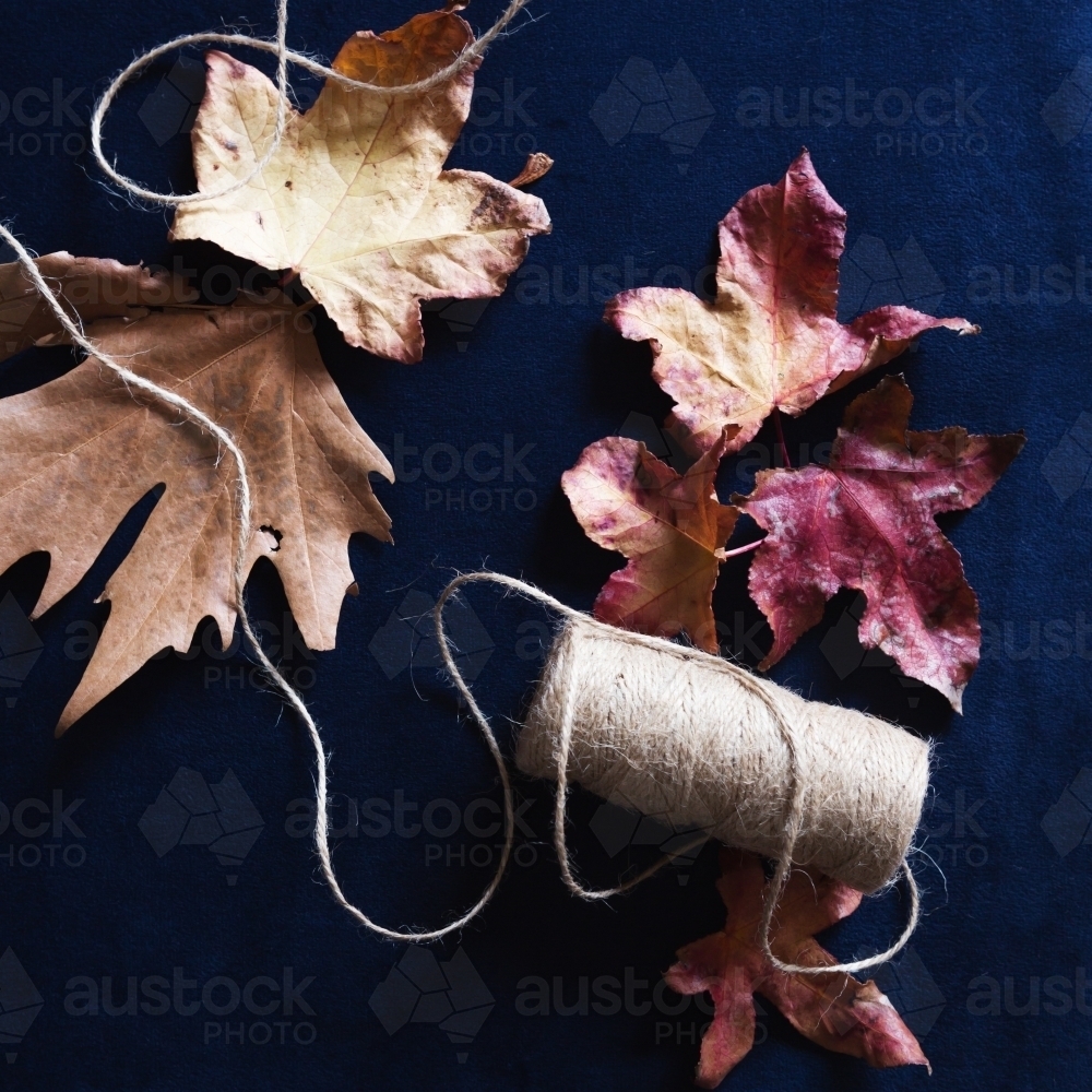 Autumn leaves and craft string on navy velvet background - Australian Stock Image