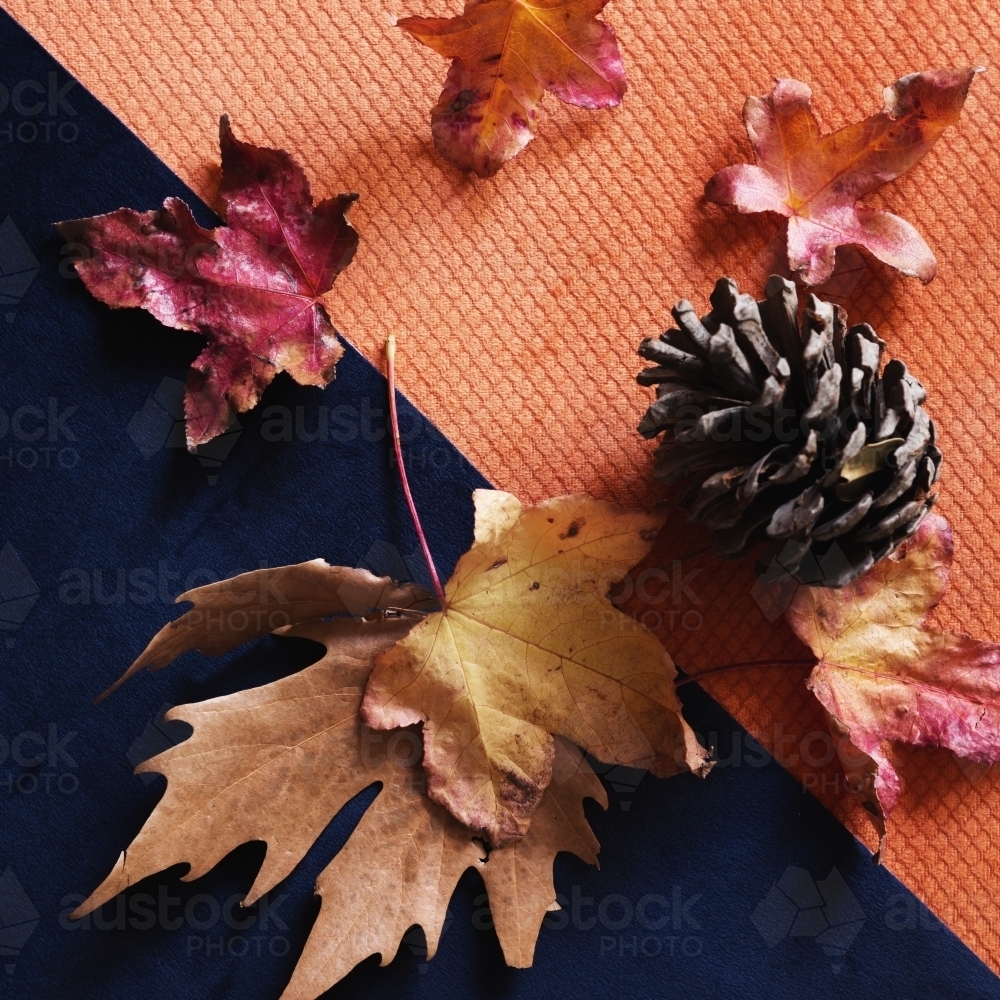 Autumn leaves background on orange and navy fabric - Australian Stock Image