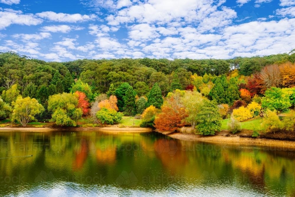 autumn scene with trees and lake - Australian Stock Image
