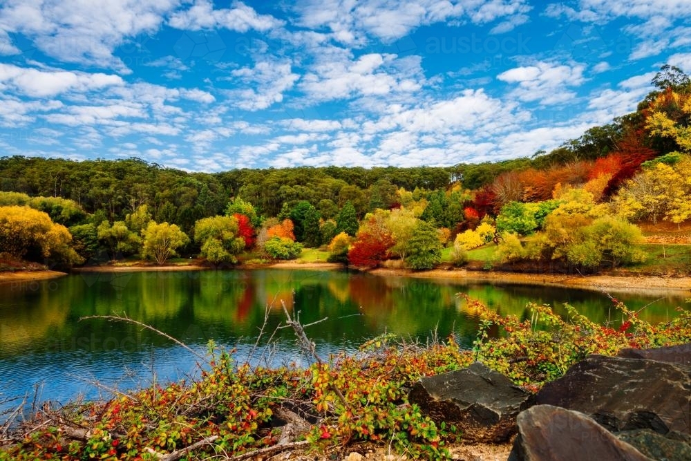 Image of autumn scene with trees and lake - Austockphoto