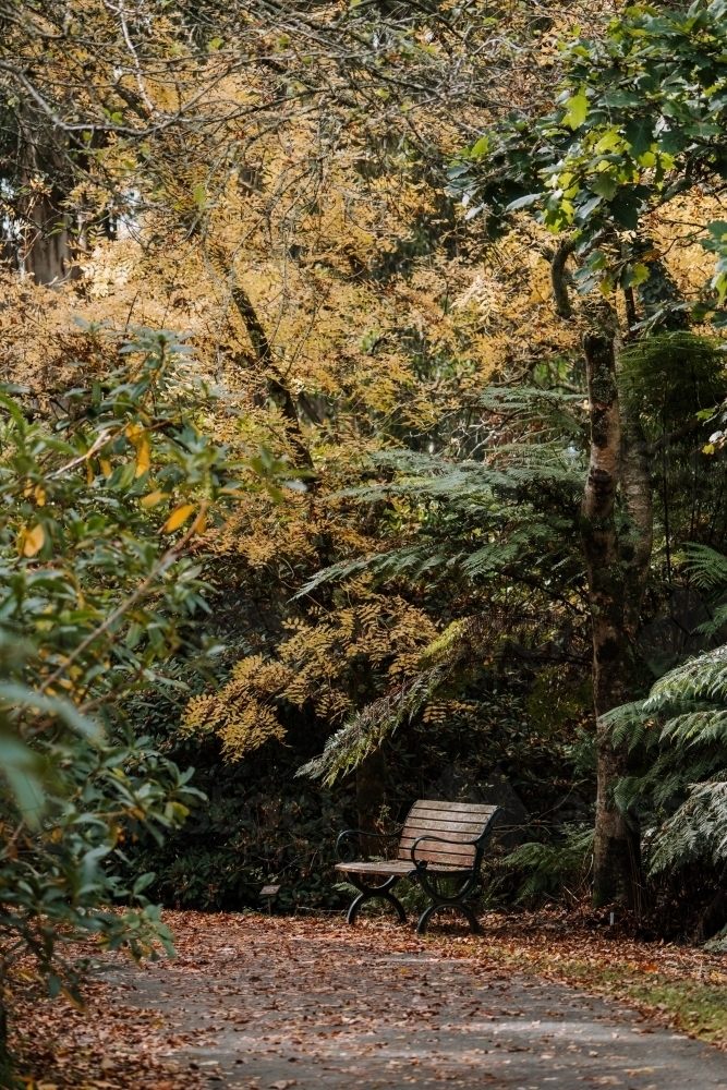 Autumn Seat - Australian Stock Image