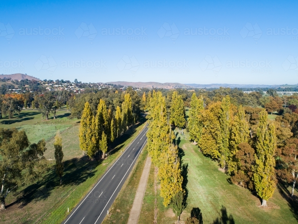 Autumn trees lining bend in road - Australian Stock Image
