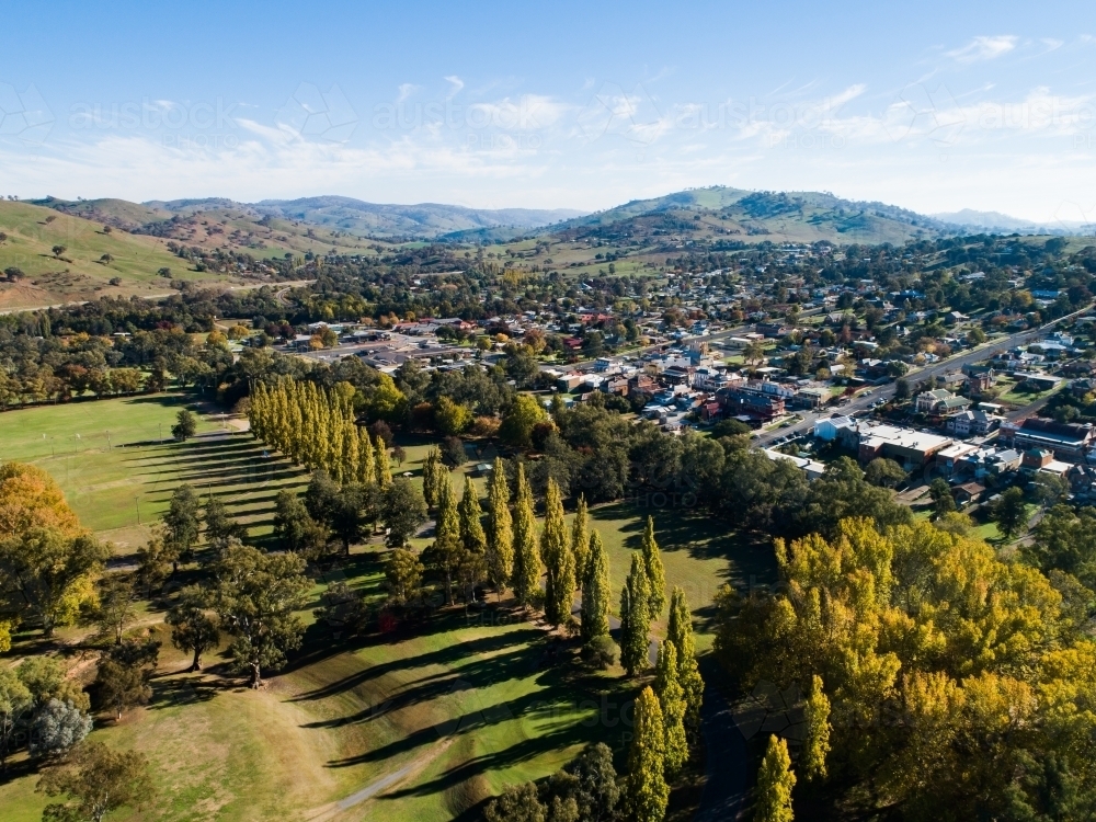 Autumn trees lining road in Gundagai NSW - Australian Stock Image
