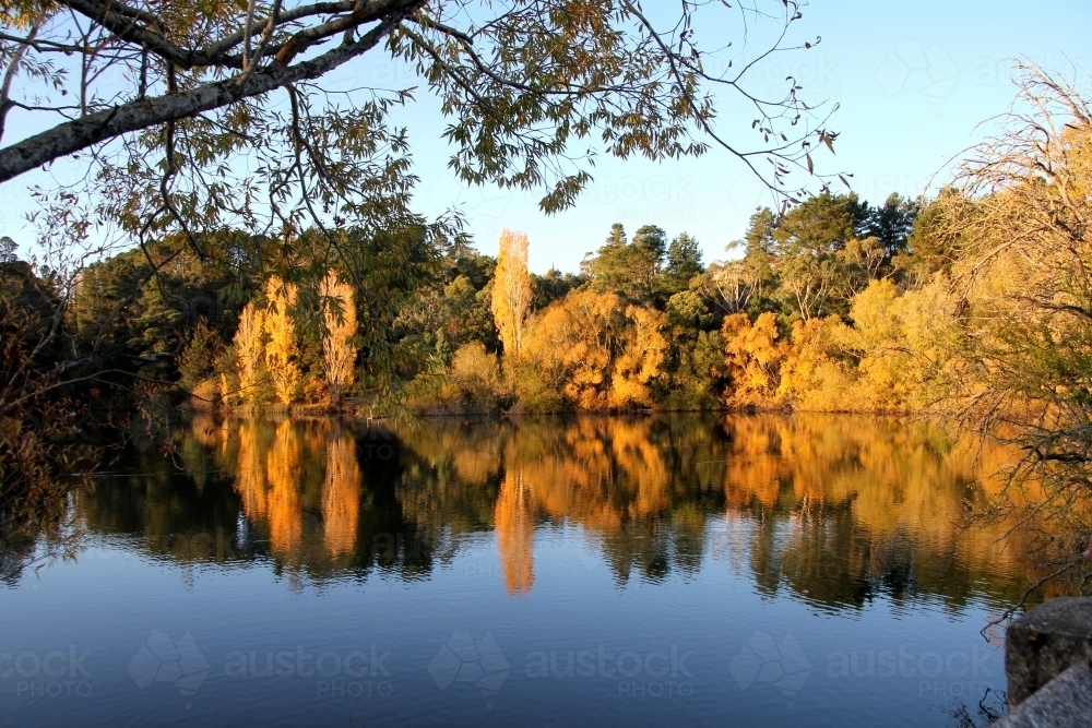 Autumn trees reflecting in lake - Australian Stock Image