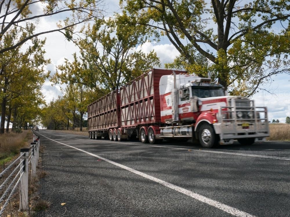 B-Double cattle truck travelling on the highway - Australian Stock Image