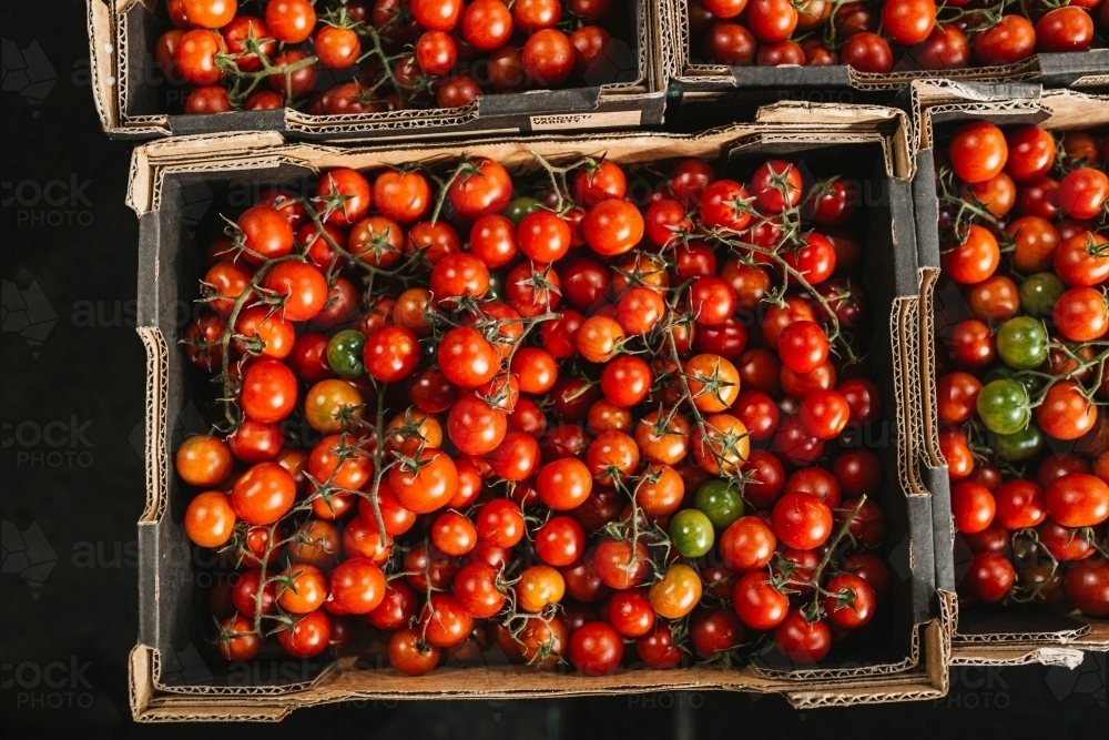 Baby cherry tomatoes for sale at Flemington Farmers Market in Sydney - Australian Stock Image