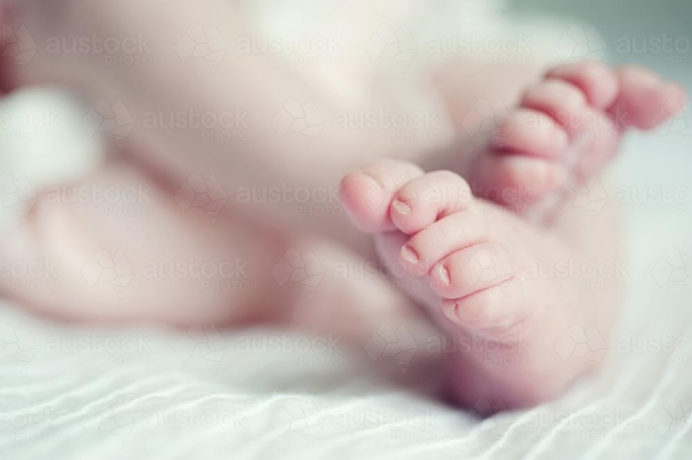 Baby Feet and Toes - Australian Stock Image