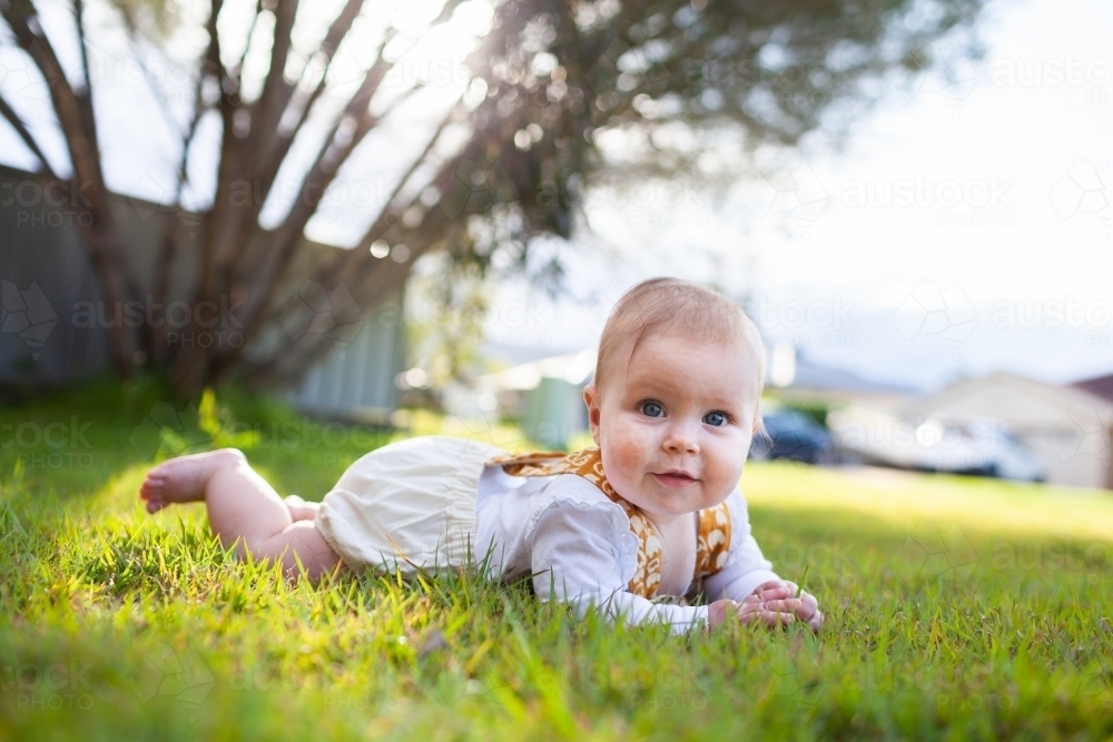 baby girl lying on grass outside in front garden of suburban home - Australian Stock Image