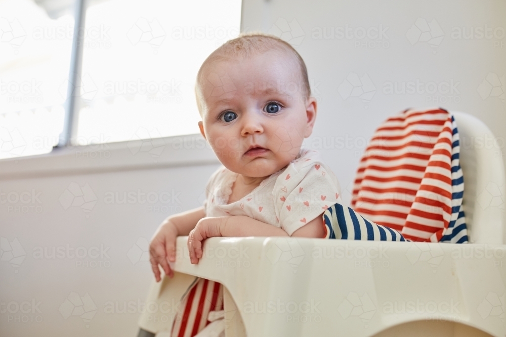 Baby girl sitting in high chair - Australian Stock Image
