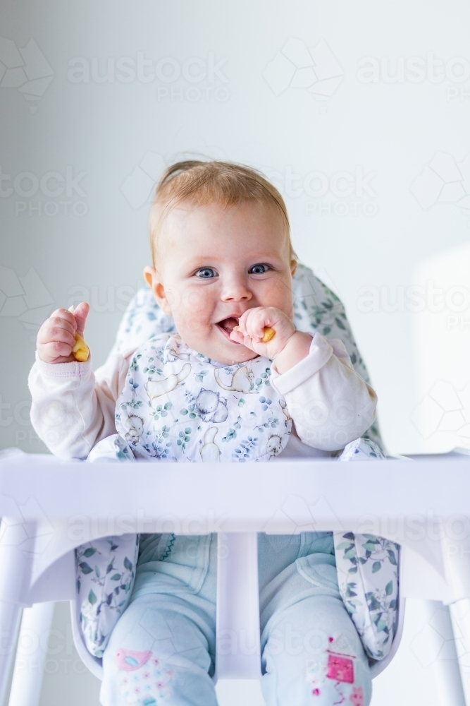 Baby girl sitting up in high chair eating a pear with copy space above - Australian Stock Image