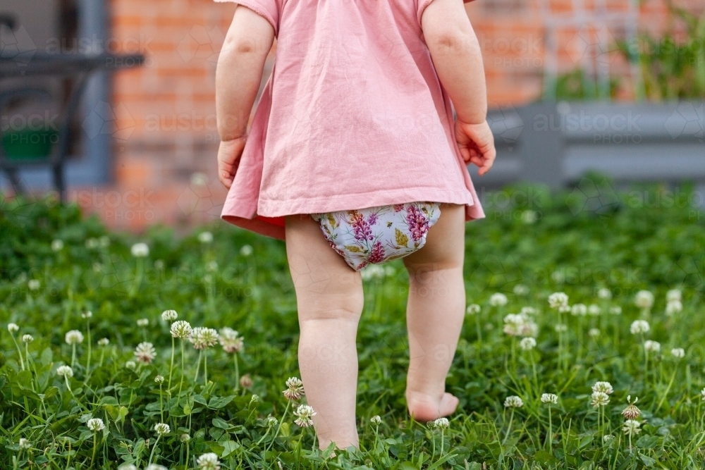 Baby girl walking through clover plants in backyard wearing cloth diaper - Australian Stock Image
