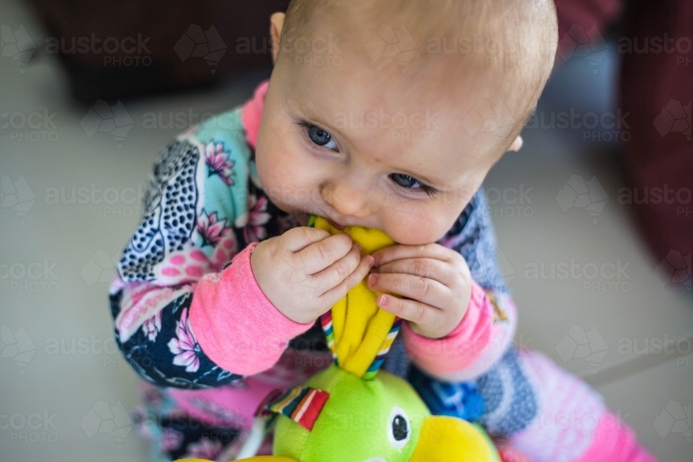 Baby holding toy and chewing - Australian Stock Image