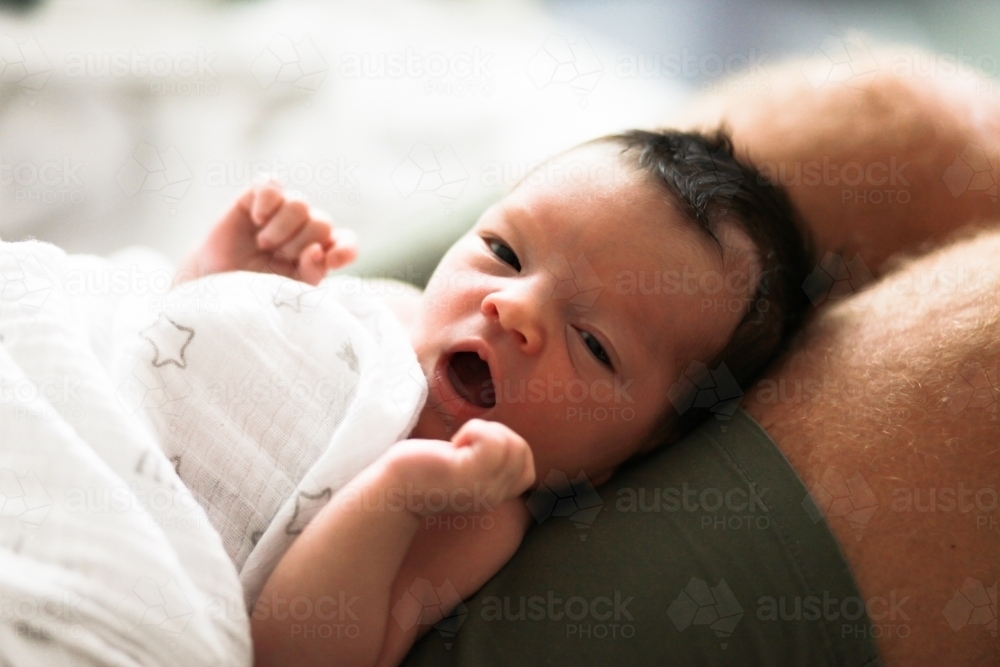 Baby on dad's laps - Australian Stock Image