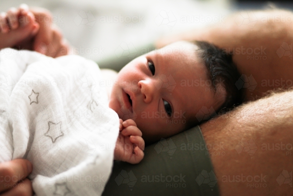 Baby on dad's laps - Australian Stock Image