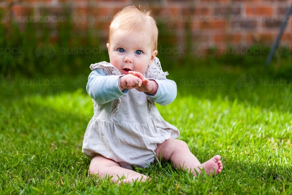 Baby outside sitting on grass gesturing with hands - Australian Stock Image