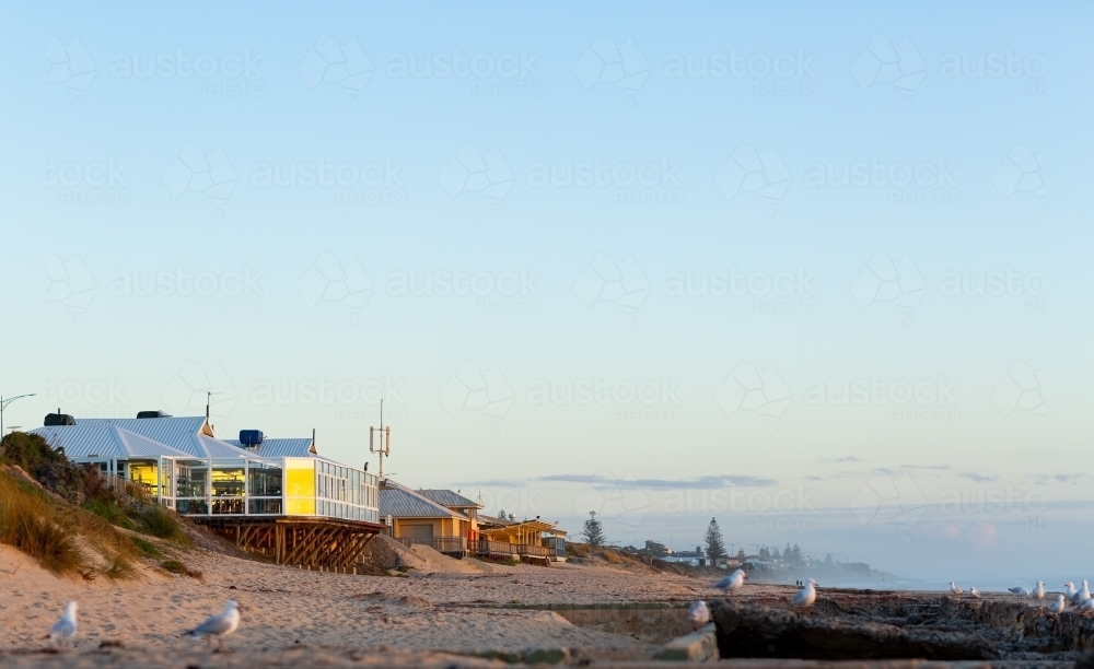 Back Beach at Bunbury with buildings and seagulls - Australian Stock Image