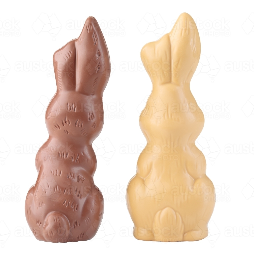 Back-facing Easter chocolate bunnies on white background - Australian Stock Image
