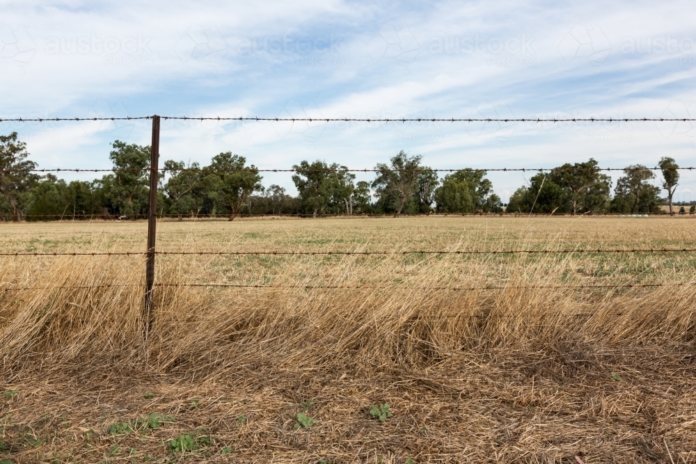 Background of barbed wire fence and farm paddock - Australian Stock Image