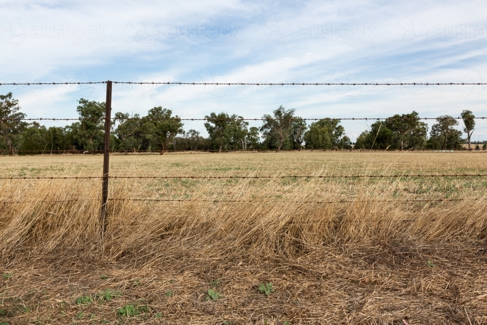 Paddock Wire Image of Background of barbed wire fence and farm paddock - Austockphoto