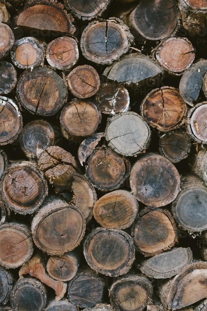 Background of stacked round logs of firewood - Australian Stock Image