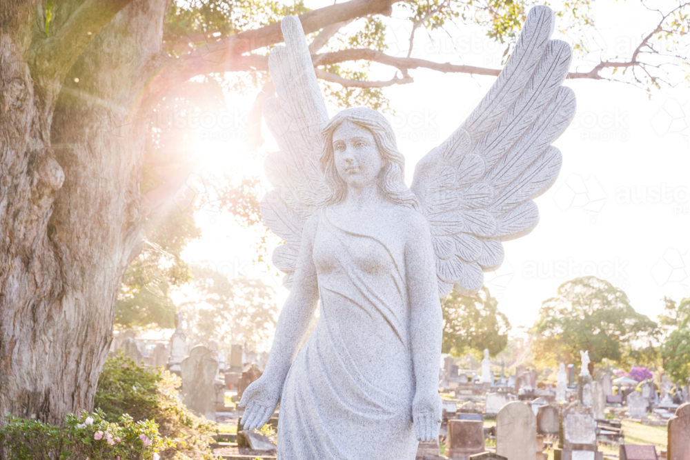 Backlit angel sculpure in a graveyard - Australian Stock Image