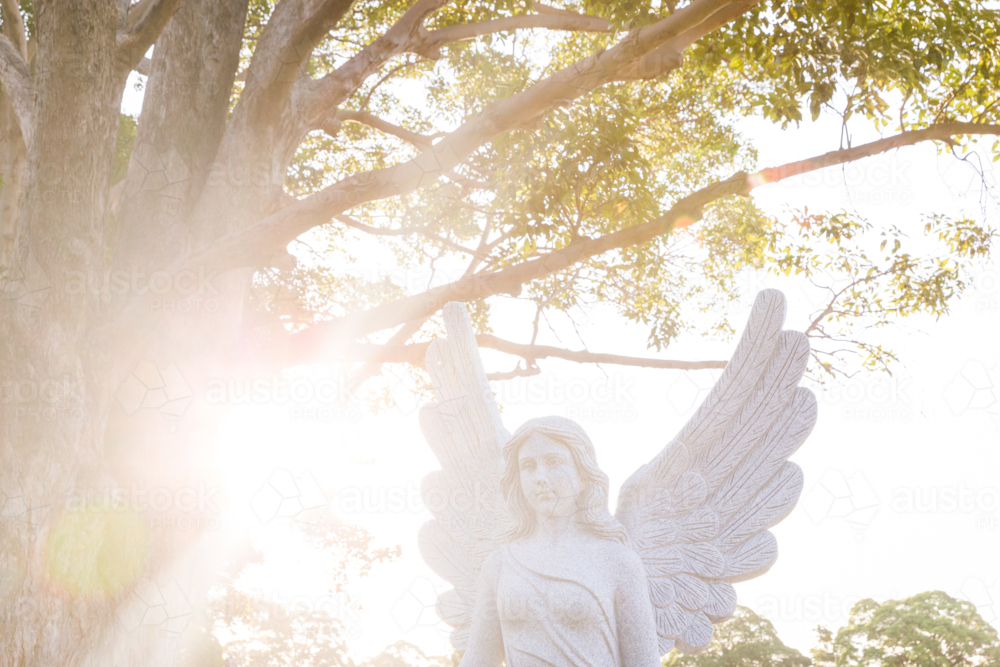 Backlit angel sculpure in a graveyard - Australian Stock Image