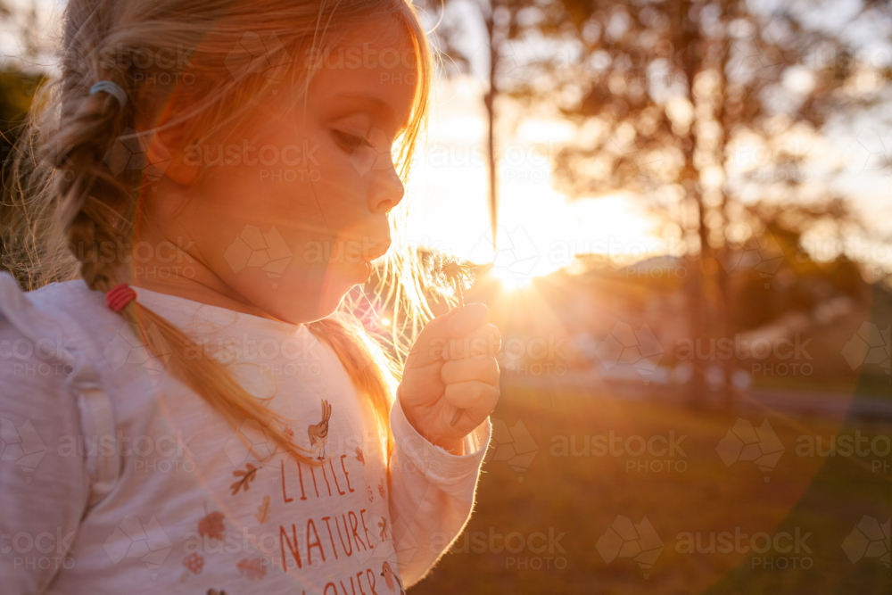 Backlit little girl with messy hair blowing dandelion seed head to make a wish - Australian Stock Image