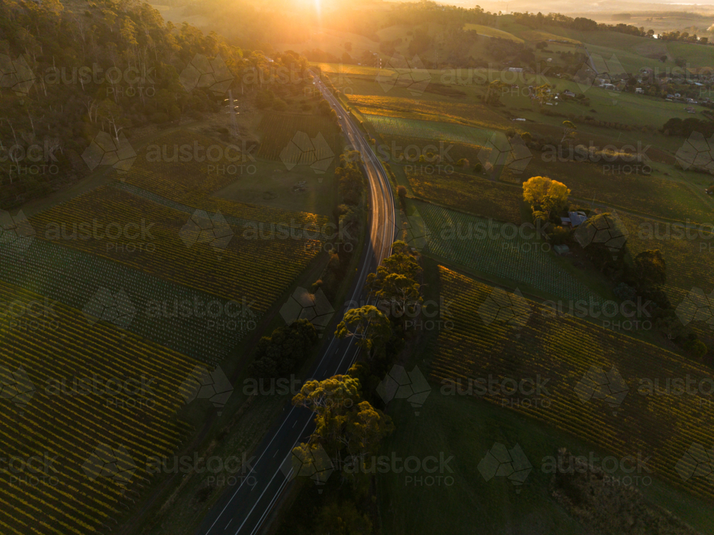 Backlit West Tamar Highway curving through vineyards in the Tamar Valley - Australian Stock Image