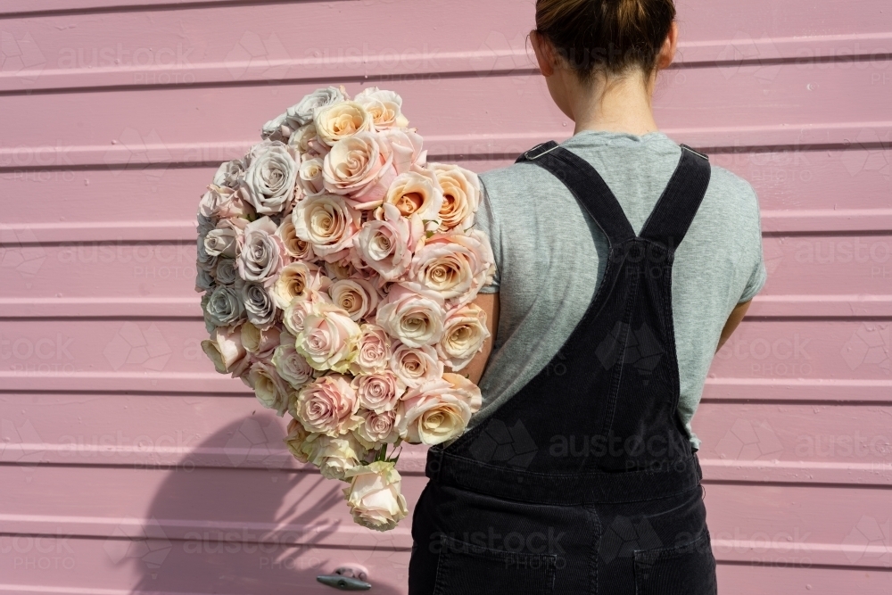 Backview of woman holding a large bunch of beautiful pastel coloured roses with a pink background - Australian Stock Image