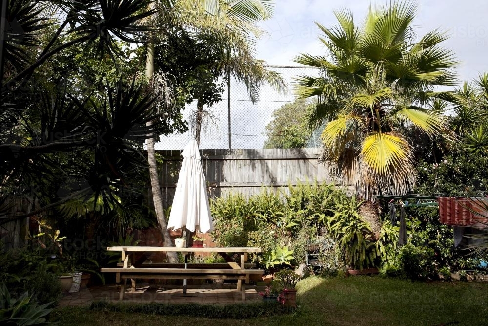 Backyard garden with fence and hills hoist - Australian Stock Image