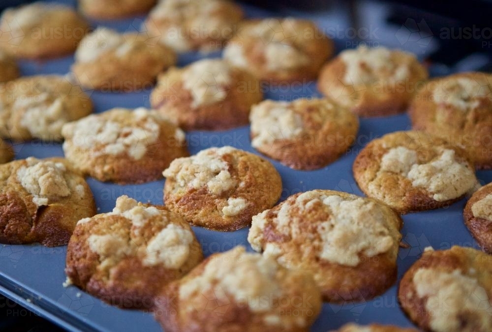 Baked muffins in baking tray - Australian Stock Image
