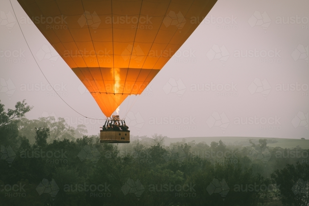 Ballooning over fog and trees in the Avon Valley in Western Australia - Australian Stock Image