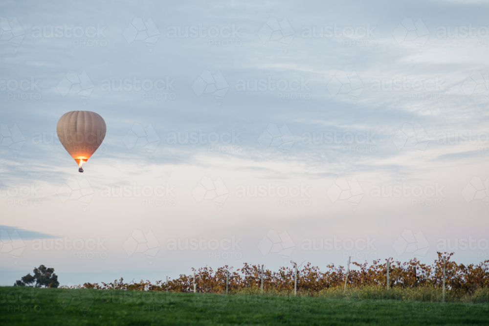 Ballooning over vineyard - Australian Stock Image