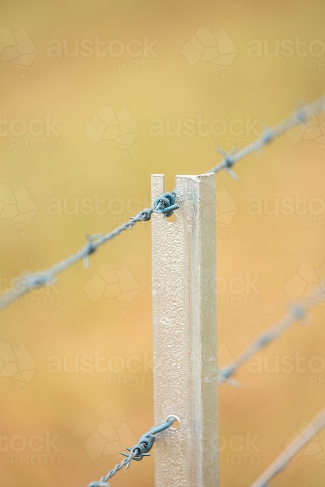 Barbed wire on a new fence - Australian Stock Image