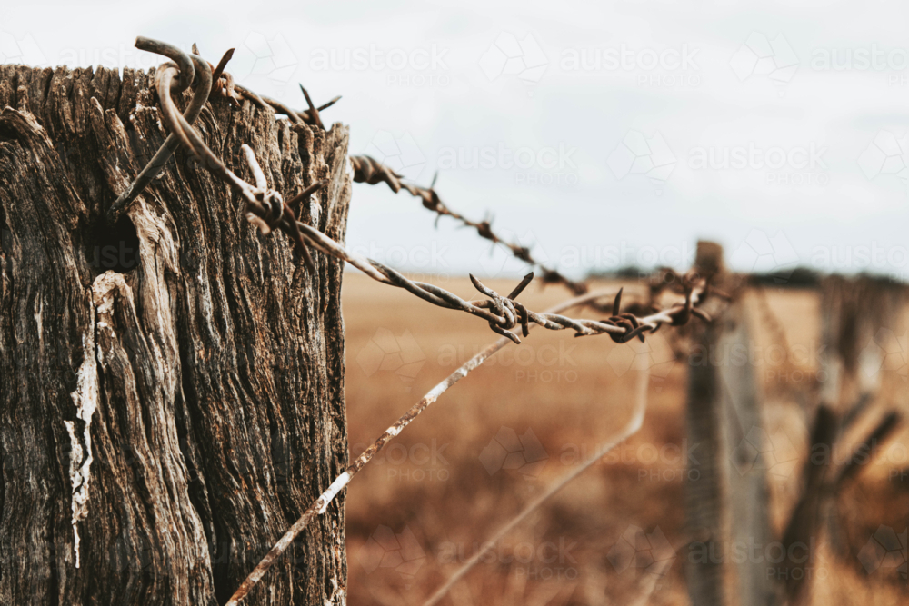 Barbwire fence - Australian Stock Image