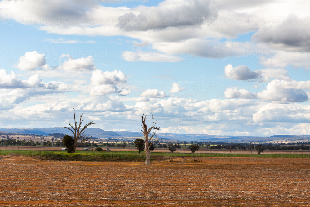 Image of Bare land of farm paddock with red tilled dirt in foreground ...