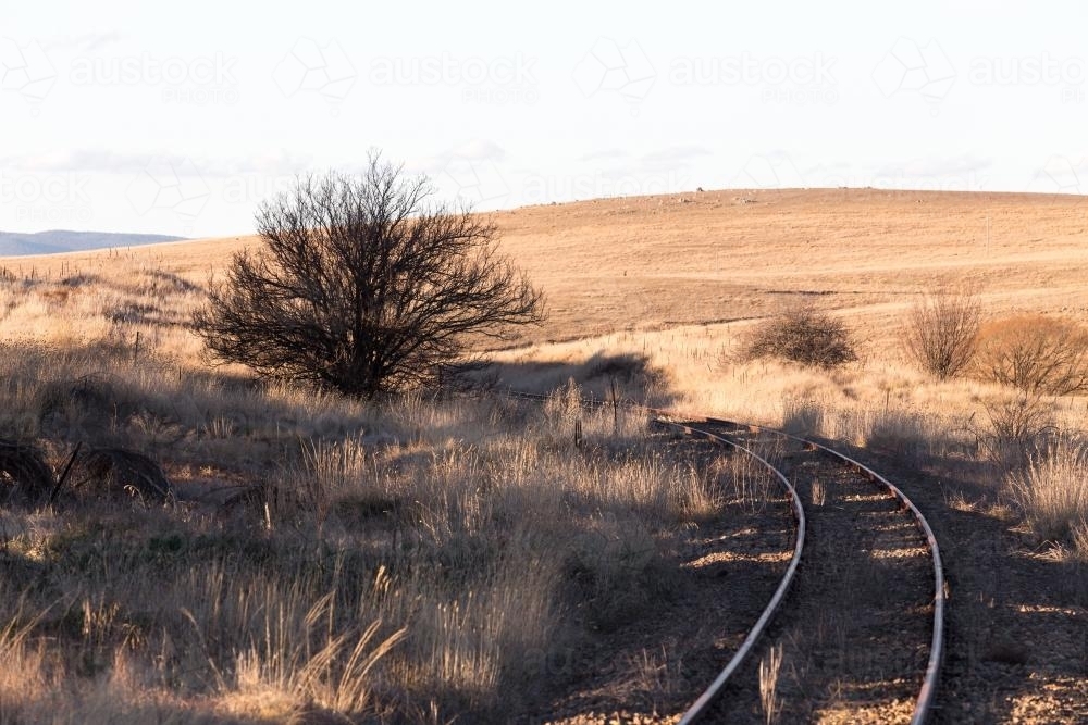 Bare tree beside old railway line in rural setting - Australian Stock Image